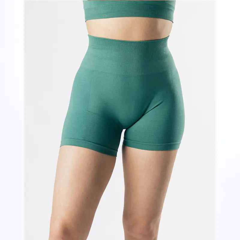 High Waist Shorts